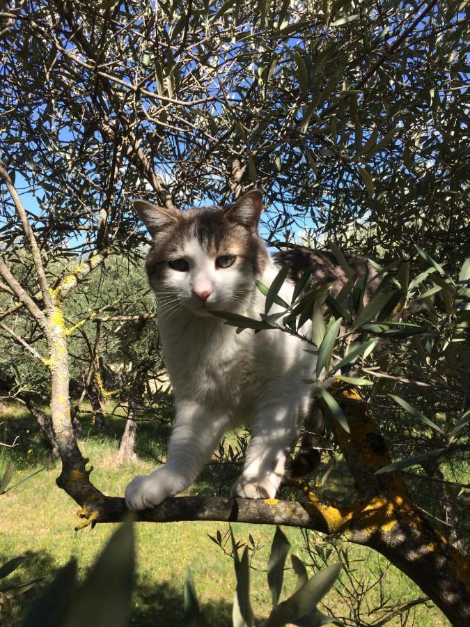 Le Verger Gordes Dış mekan fotoğraf