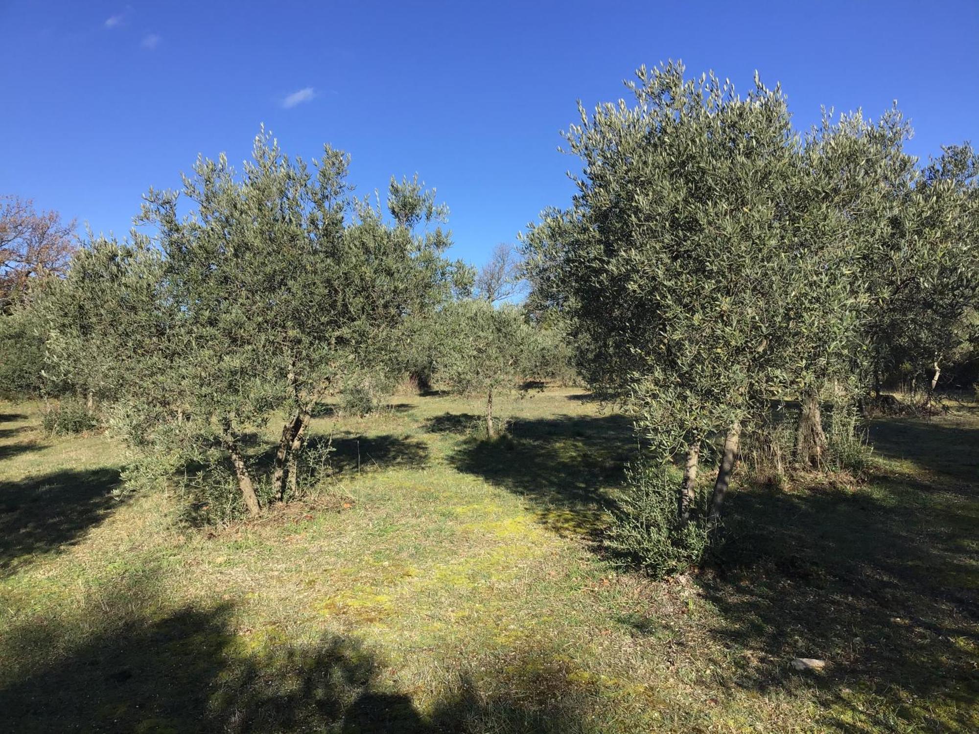 Le Verger Gordes Dış mekan fotoğraf